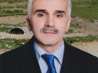 Rizemiz ve Öz Eleştirilerim