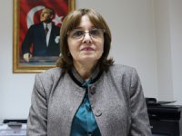 Zika'nın sineği var, virüsü yok