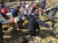 Rize'deki Ağaç Kazasından Üzücü Haber