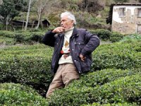 Kuş dilinin alfabesi oluşturulacak