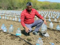 Hurdacıdan Aldığı 3 Bin Pet Şişeyle Sera Yaptı