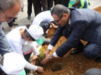 Sevgi Evleri Sakinleri İle Huzurevi Sakinleri Fidan Dikti