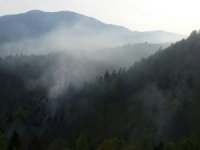 Rize'deki Örtü Yangını Kontrol Altına Alındı