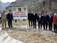 Gümüşhane’de Şehit Polis Olgun Gülay Anısına Hatıra Ormanı Oluşturuldu
