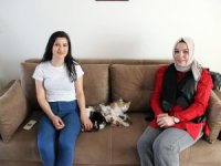 Sokakta Bulduğu Kediye İlanla ’Süt Anne’ Buldu