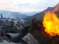 Artvin'deki yangında 19 ev kullanılamaz hale geldi