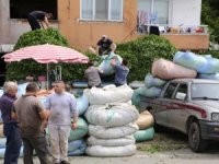 Rize'de Çay Üreticisi Mağdur Edildi
