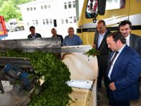Alim: 2. Sürgünde 122 Bin Ton Yaş Çay Aldık