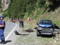 Rize’de Kamyonet Yol Kenarında Hayvan Otlatan Anne İle Kızına Çarptı: 1 Ölü, 1 Yaralı