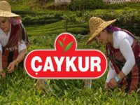 ÇAYKUR’dan Düşük Fiyata Çay Satmayın Uyarısı