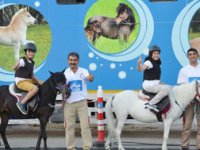 Rize’de Çocuklar Pony Atlarıyla Eğlenecek