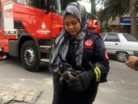 Ağaçta Mahsur Kalan Yaralı Karga Kurtarıldı