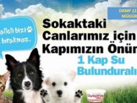 Bakıma Muhtaç Hayvanları Sahiplenenlere Yuva Desteği Verilecek