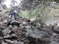 Maden Ocağında Mahsur Kalan 4 İşçi Kurtarıldı