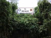 Rize’de Jandarma Operasyonu