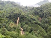 Rize’de Heyelanın Ardından Dereler Çamur Akıyor