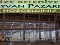 Rize’de Kurban Pazarı Hazırlandı. İlk Kurbanlıklar Geliyor