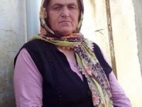 Budamak İçin Çıktığı Ağaçtan Düşerek Öldü