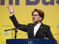 Meral Akşener Yeniden Seçildi