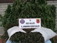 Rize'de Uyuşturucu Operasyonu