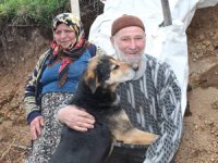 Ordu'da tarım aracı devrildi: 1 ölü, 1 yaralı