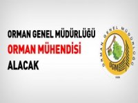 50 orman mühendisi alınacak
