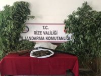 Rize’de Uyuşturucu Ve Silah Operasyonu: 10 Gözaltı