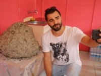 Yaban Arısı Kovanı İlgi Odağı Oldu