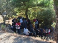 106 Kaçak Göçmen Yakalandı