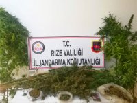 Rize'de Uyuşturucu Operasyonu