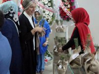 Nikah Şekeri Yerine Çam Fidanı Hediye Ettiler