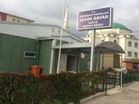 Bu Kez Darp Eden Doktor