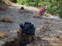 İkisi Tuzaklanmış Toplam 340 Kilo Patlayıcı Ele Geçirildi