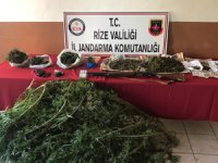 Rize'de Uyuşturucu Operasyonu