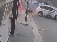 Köpekten Duvara Tırmanarak Kurtuldu