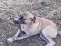 Ağzını Ve Ayaklarını Bağlayıp Ölüme Terk Ettiler