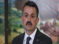 Tarım Bakanı Pakdemirli: Et yerine balık, tavuk, hindi yesek bu iş çözülecek