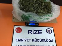 Rize'de Uyuşturucu Operasyonu