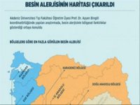 Türkiye'nin 'Besin Alerjisi Haritası' Çıkarıldı