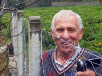 Rize'de Yiyecek Bulamayan Ayı Yavrusu Kümese Girdi
