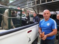 Bir Köpeğin Gözyaşları ile Gelen Dostluk