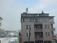 Sorumsuzluğun Bu Kadarı