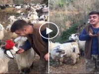 Rizeli Çobandan Muhteşem Karadeniz Türküsü VİDEO