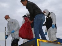 Ordu'da çöpte parçalanmış erkek çocuk cesedi bulundu