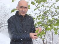Giresun Ziraat Odası Başkanı Karan: “İşinizi Şansa Bırakmayın, Tarım Sigortası Yaptırın”