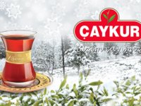 Avrupalının Türk Çayına İlgisi Artıyor