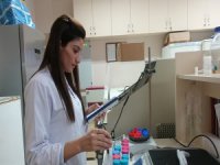 'Mevlana Değişim Programı' ile 66 ülkeyle öğrenci değişimi yapılacak