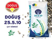 Doğuş Çay’dan Yaş Çay Üreticisine Yeni Hizmet: Çay Gübresi
