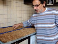 Hobi Atölyesinde Hayvanlar İçin Yem Üretti