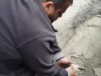 Köpeği Kalp Masajı ve Suni Teneffüs ile Hayata Döndürdü VİDEO İZLE